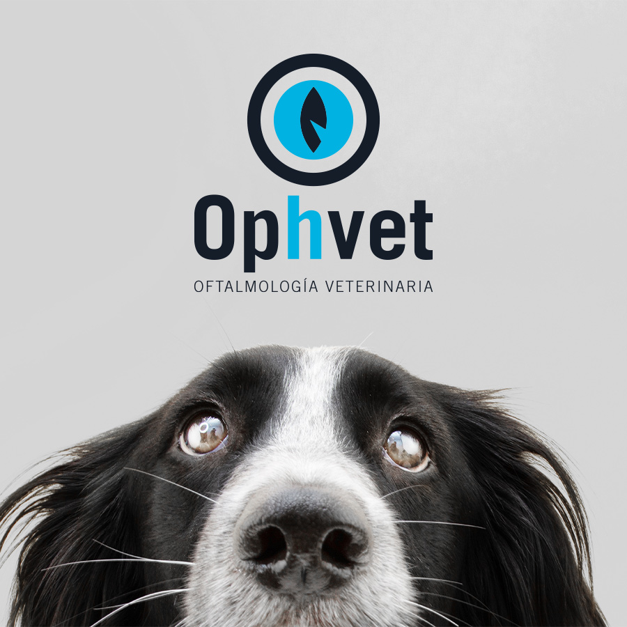 sector gráphico - Ophvet